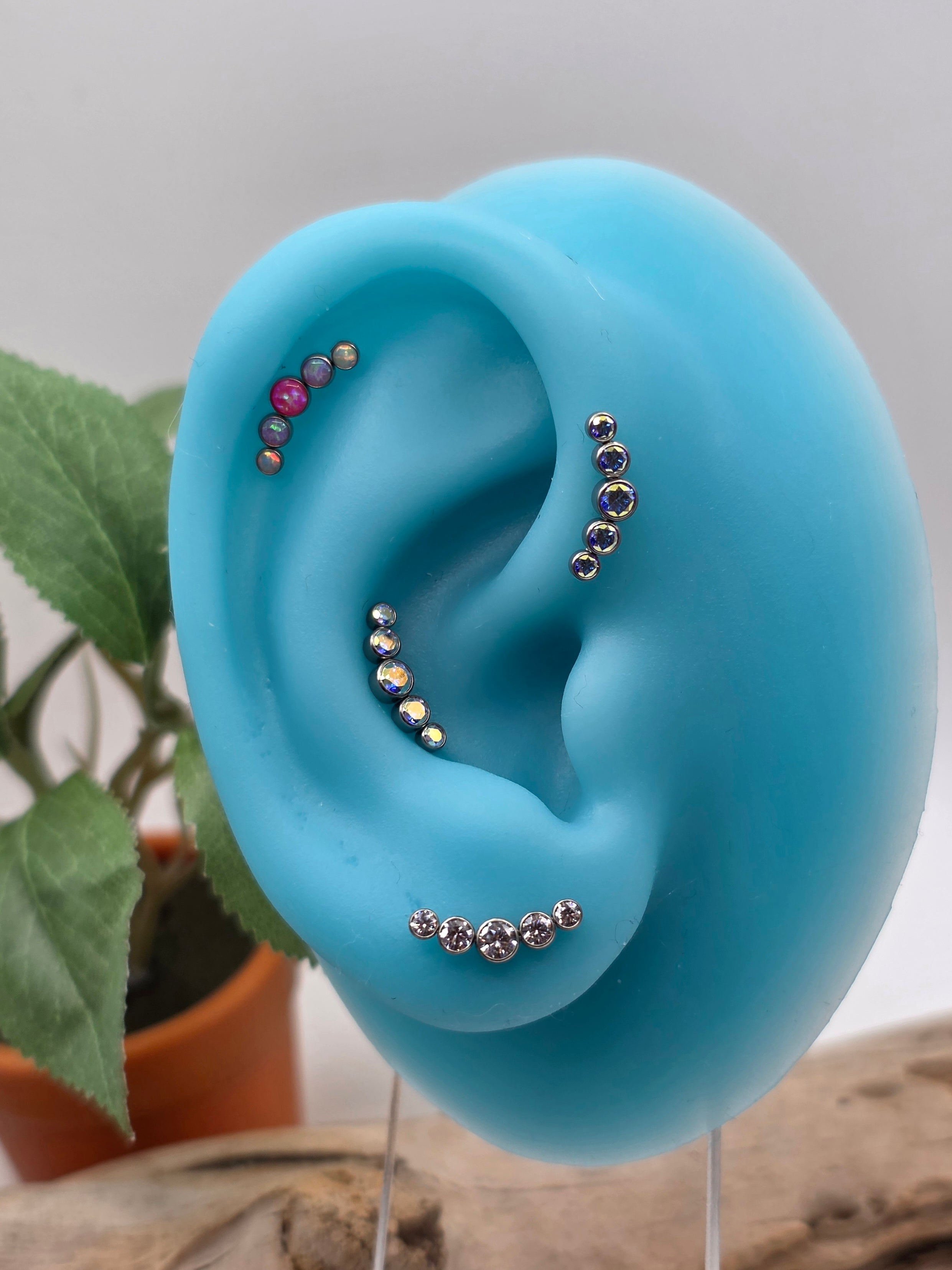 Titanium 5 Gem Cluster Stud