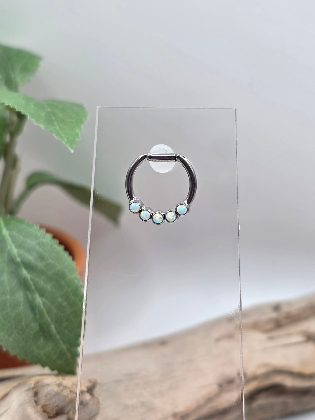 Titanium 5 Gem Clicker Ring