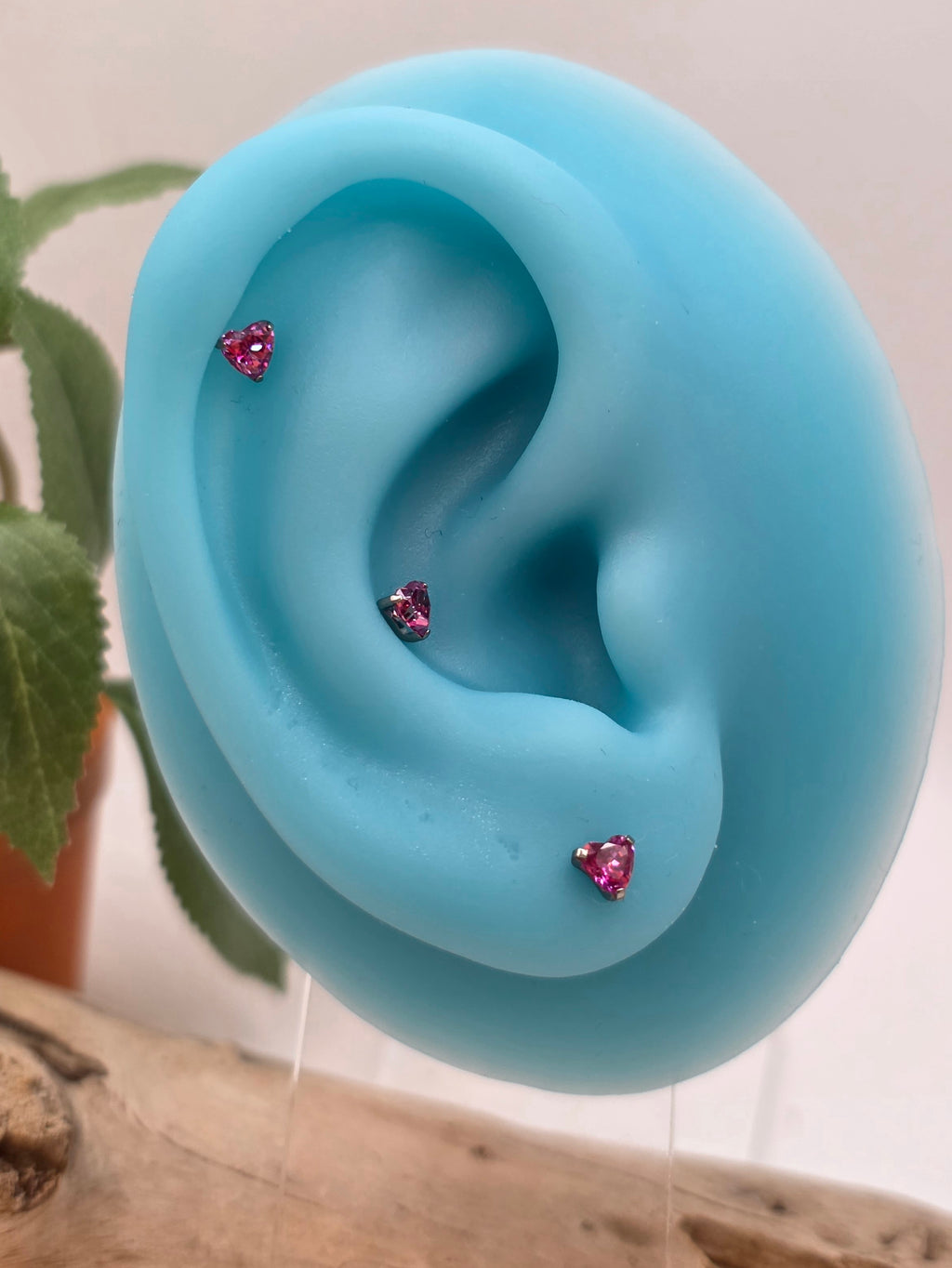 Titanium Heart Prong Stud